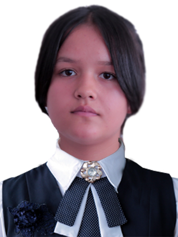 feedback